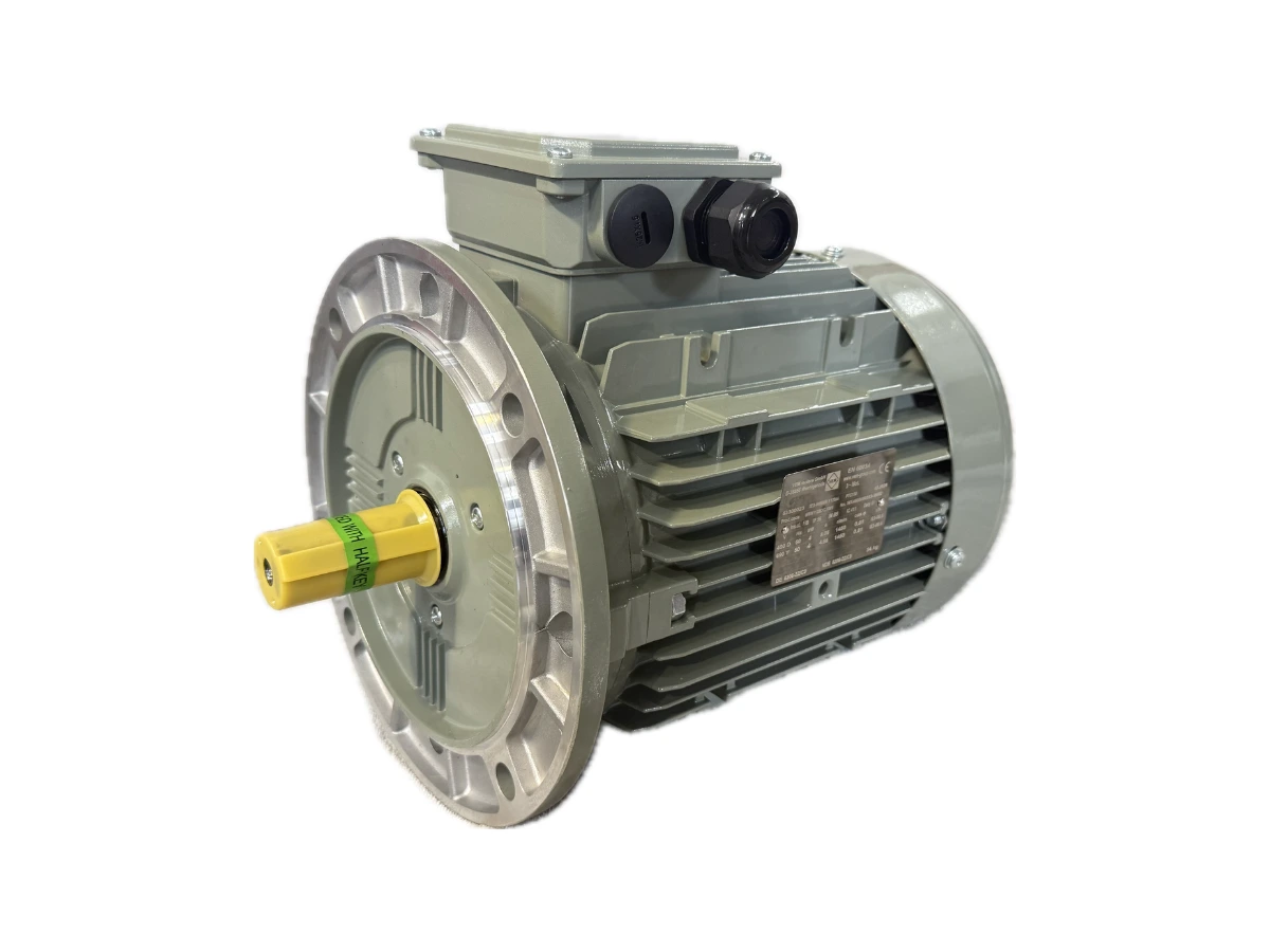 Silnik elektryczny VEM 4kW 1450 obr./min IE3-W8WR 112M4